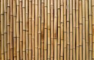 Pourquoi le bois de bambou est plus écologique que d’autres bois ?