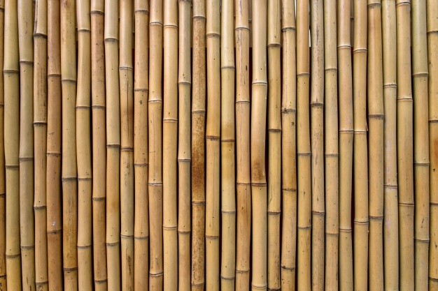 Pourquoi le bois de bambou est plus écologique que d’autres bois ?