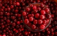 Quels sont les bienfaits des cranberries séchées ?