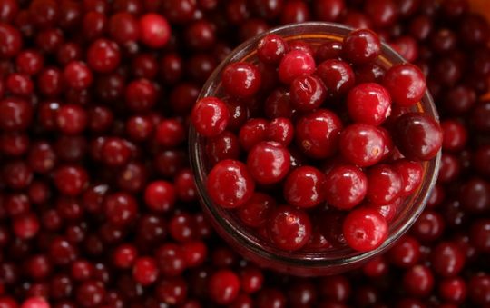 Quels sont les bienfaits des cranberries séchées ?