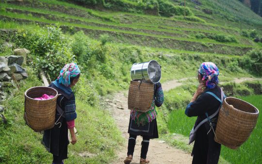 Les tendances actuelles des portefeuilles pour femmes