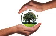 Décorez votre maison avec un arbre de vie en pierre naturelle pour une atmosphère apaisante et originale