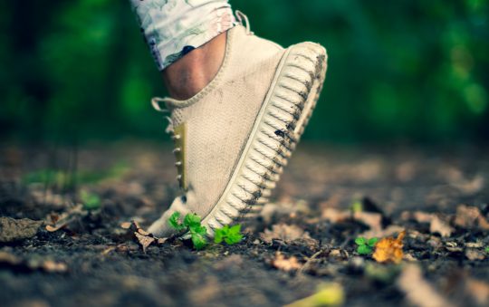 Les bienfaits de la marche nordique avec des bâtons : Une activité complète